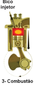 captura de tela 2026 01 31 105614